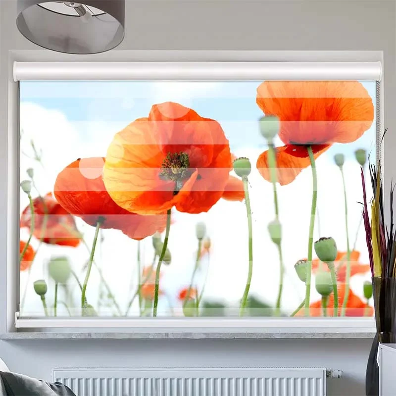 Doppelrollo mit Kassette "Mohnblumen Panorama"