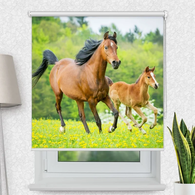 Motivrollo 'Pferd mit Fohlen' | Bis B 430 x H 440 cm