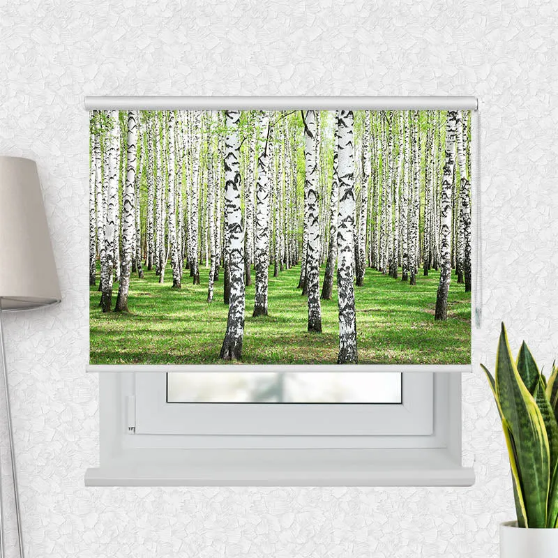Motivrollo 'Birkenwald' | Bis B 430 x H 440 cm