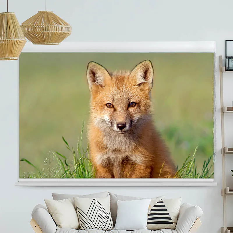 Kassettenrollo Motiv "Fuchs" | bis B 420 x H 420 cm