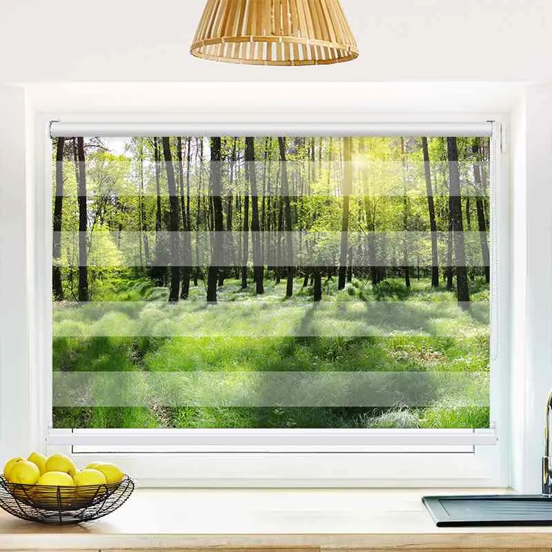 Klemmfix Doppelrollo "Wald Panorama" | Klemm Doppelrollo