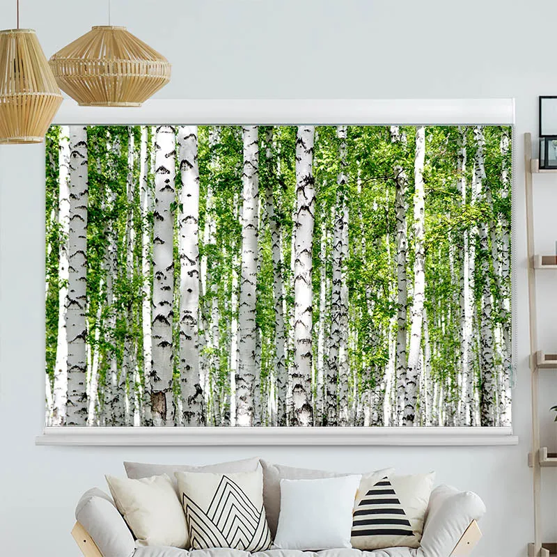 Kassettenrollo Motiv "Birkenwald" | bis B 420 x H 420 cm