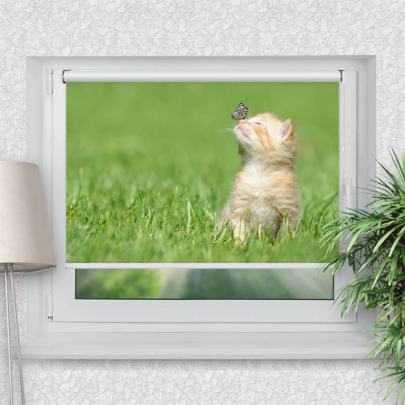 Klemmfix Rollo "Kitten und Schmetterling" | Motiv-Klemmrollo