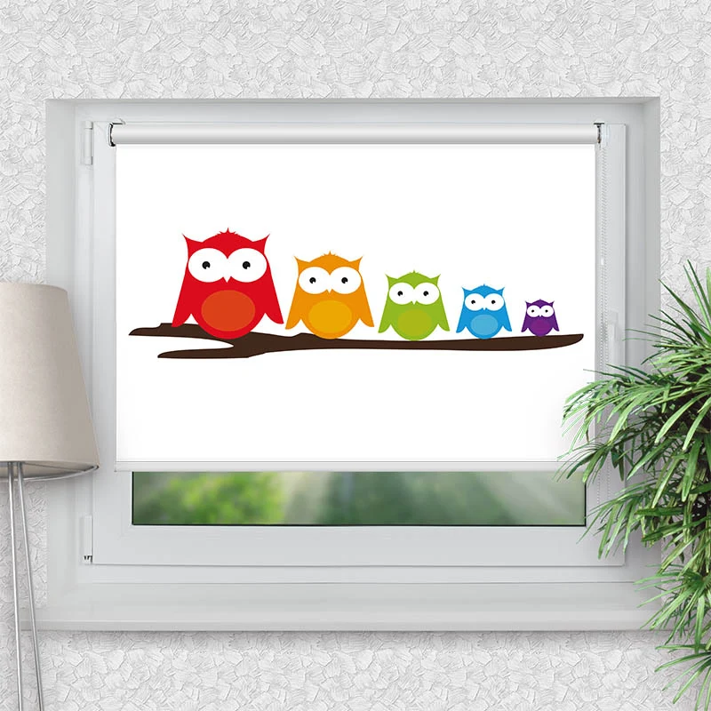 Klemmfix Rollo "Bunte Eulen" | Motiv-Klemmrollo