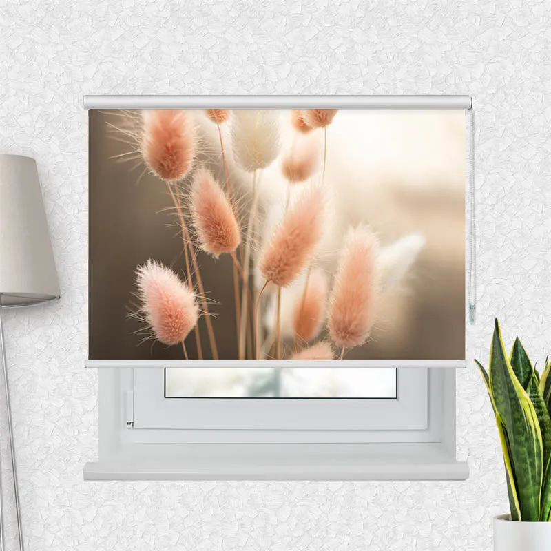 Motivrollo 'Flauschiges Hasenschwanzgras' | Bis B 430 x H 440 cm