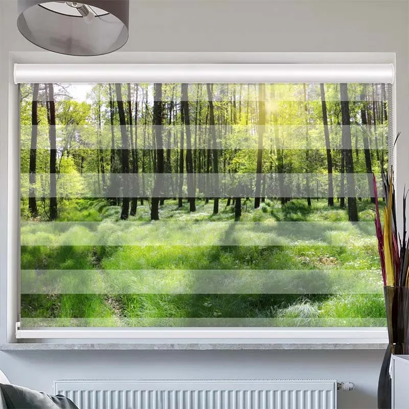Doppelrollo mit Kassette "Wald Panorama"