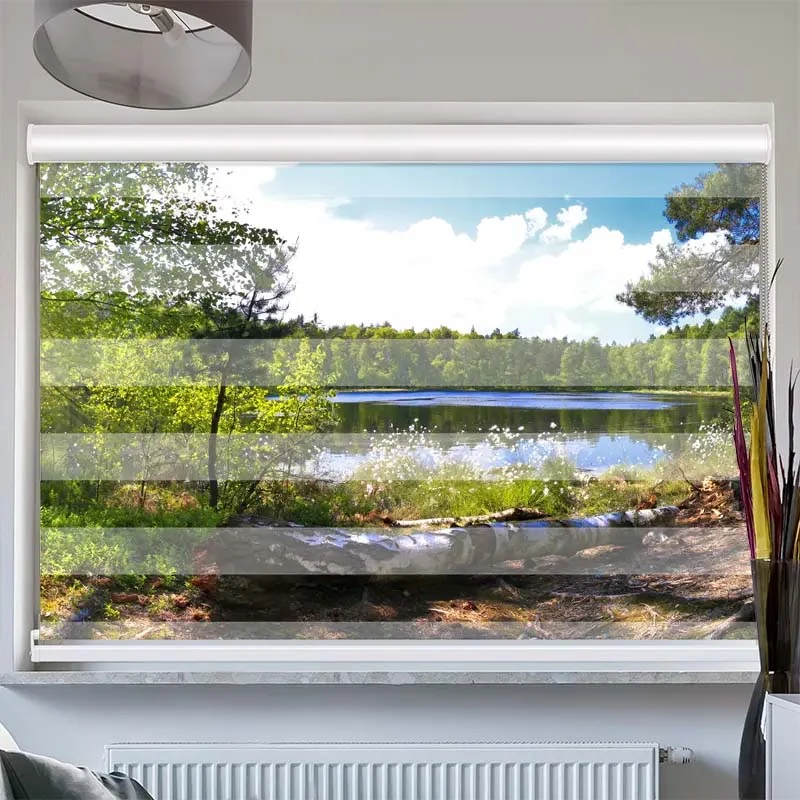 Doppelrollo mit Kassette "Waldsee Panorama"