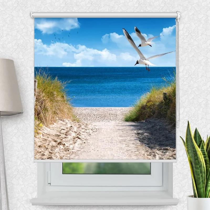 Motivrollo 'Duene Meer Moewen' | Bis B 430 x H 440 cm