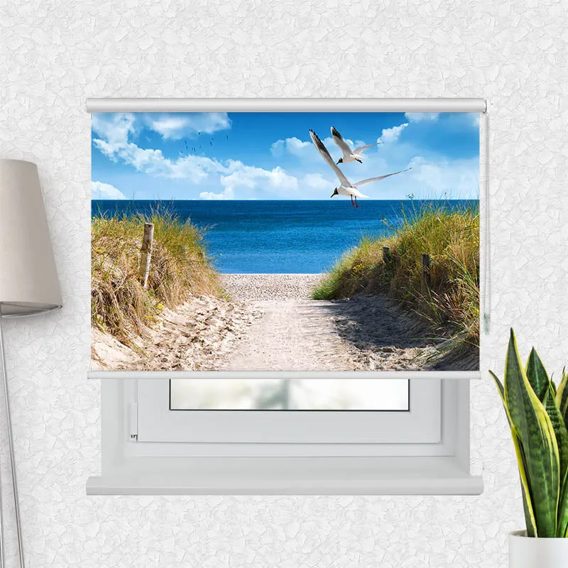 Motivrollo 'Duene Meer Moewen' | Bis B 430 x H 440 cm