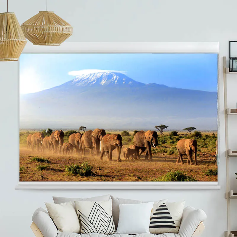 Kassettenrollo Motiv "Elefanten am Kilimandscharo" | bis B 420 x H 420 cm