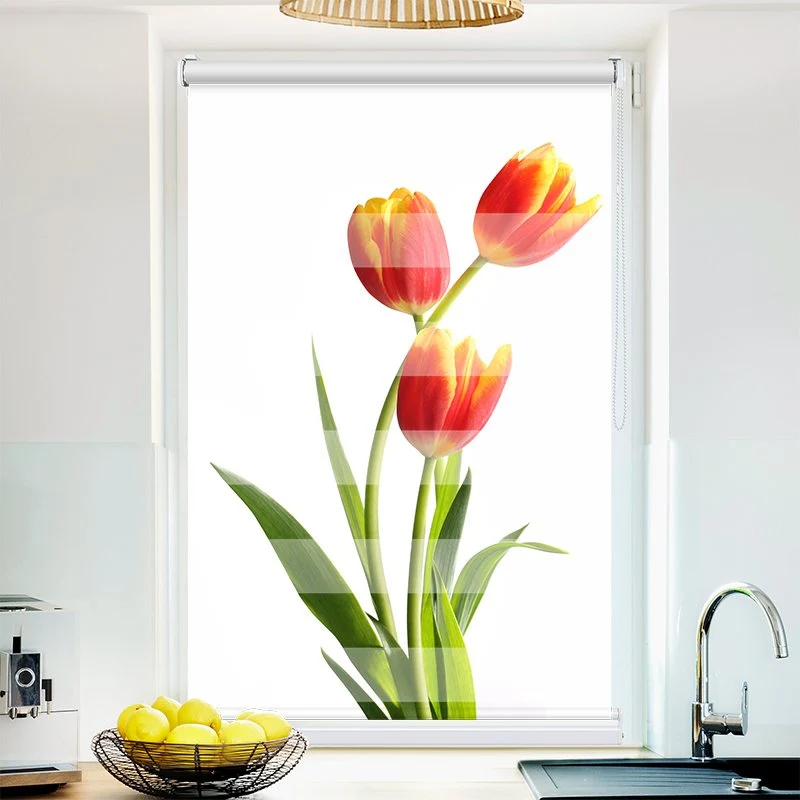 Klemmfix Doppelrollo "Tulpen" | Klemm Doppelrollo