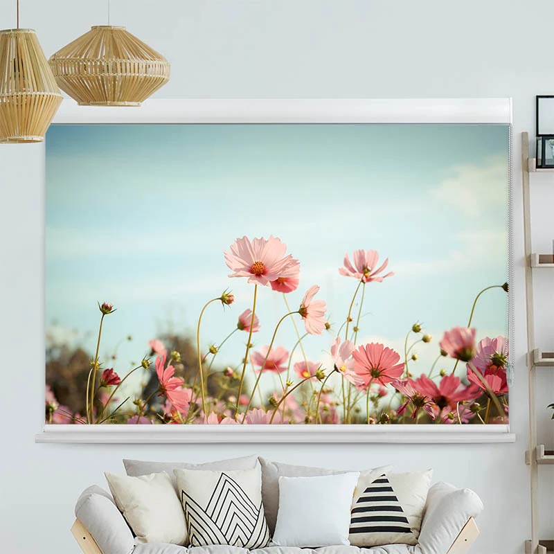 Kassettenrollo Motiv "Kosmeen Blumenwiese Rosa Blumen" | bis B 420 x H 420 cm