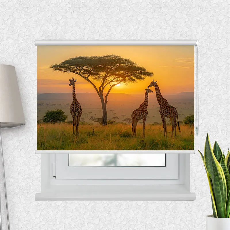 Motivrollo 'Afrika Giraffen Savanne' | Bis B 430 x H 440 cm