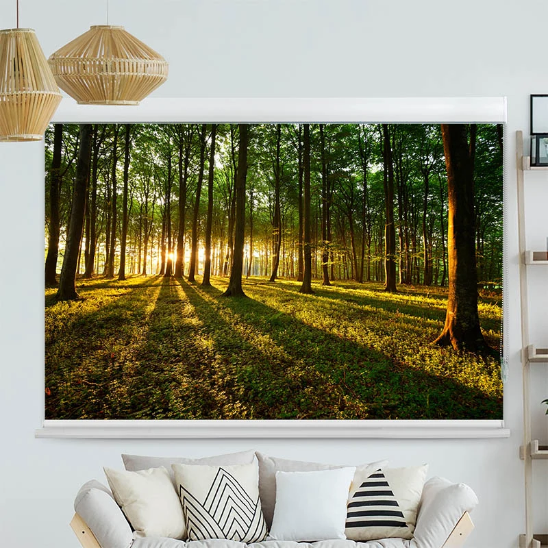 Kassettenrollo Motiv "Sonnenstrahlen im Wald" | bis B 420 x H 420 cm