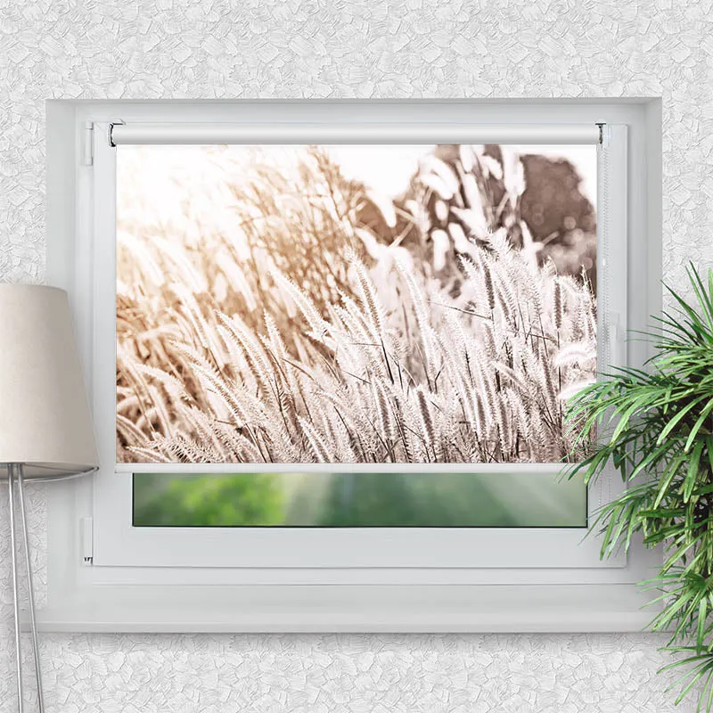 Klemmfix Rollo "Pampas Gras" | Motiv-Klemmrollo