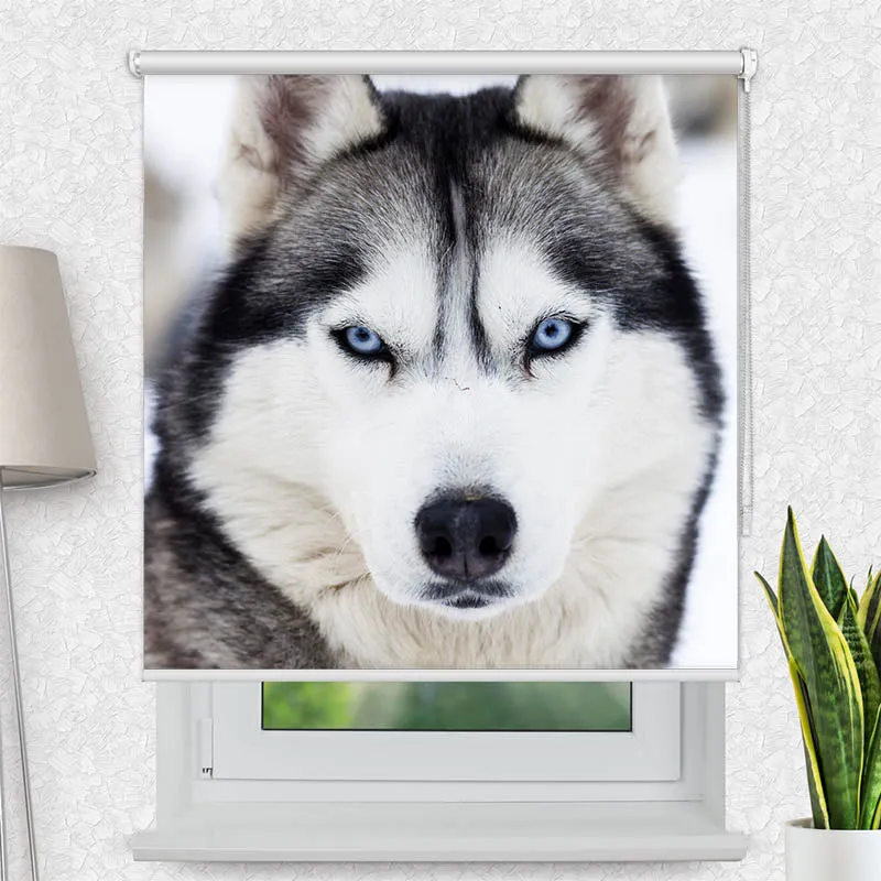 Motivrollo 'Husky' | Bis B 430 x H 440 cm