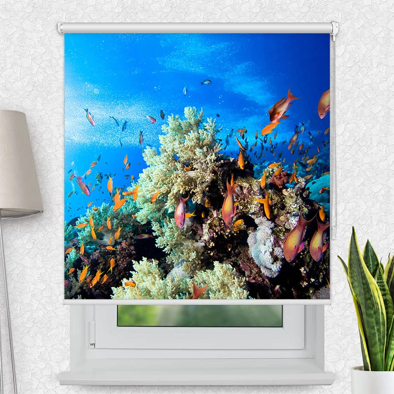Motivrollo 'Korallen und Fische' | Bis B 430 x H 440 cm