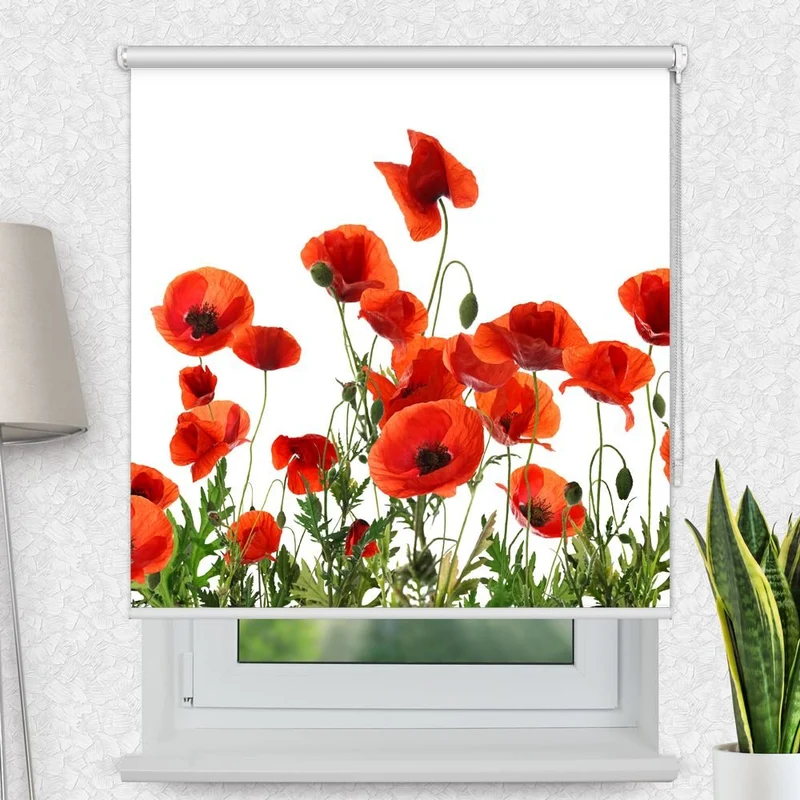 Motivrollo 'Mohnblumen Weisser Hintergrund' | Bis B 430 x H 440 cm