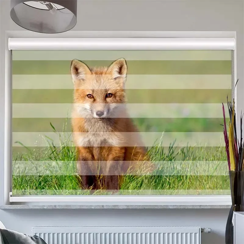 Doppelrollo mit Kassette "Fuchs"