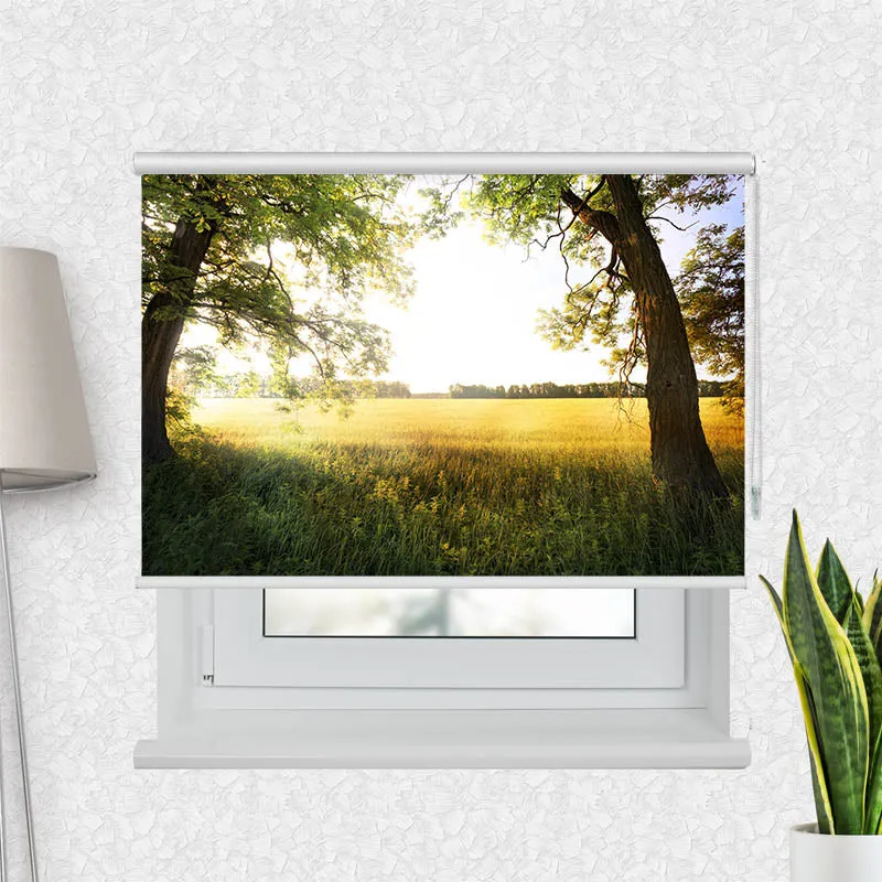 Motivrollo 'Feld mit Sonnenlicht' | Bis B 430 x H 440 cm