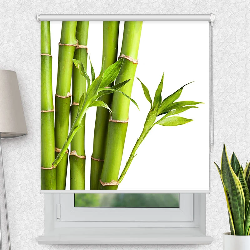Motivrollo 'Bambus' | Bis B 430 x H 440 cm