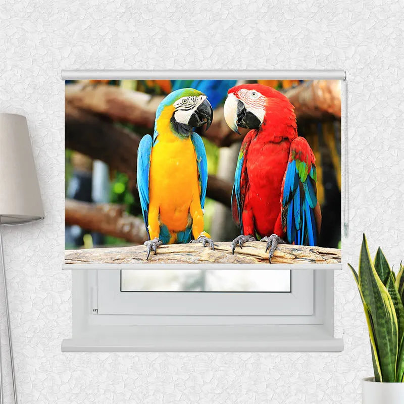 Motivrollo 'Papageien' | Bis B 430 x H 440 cm