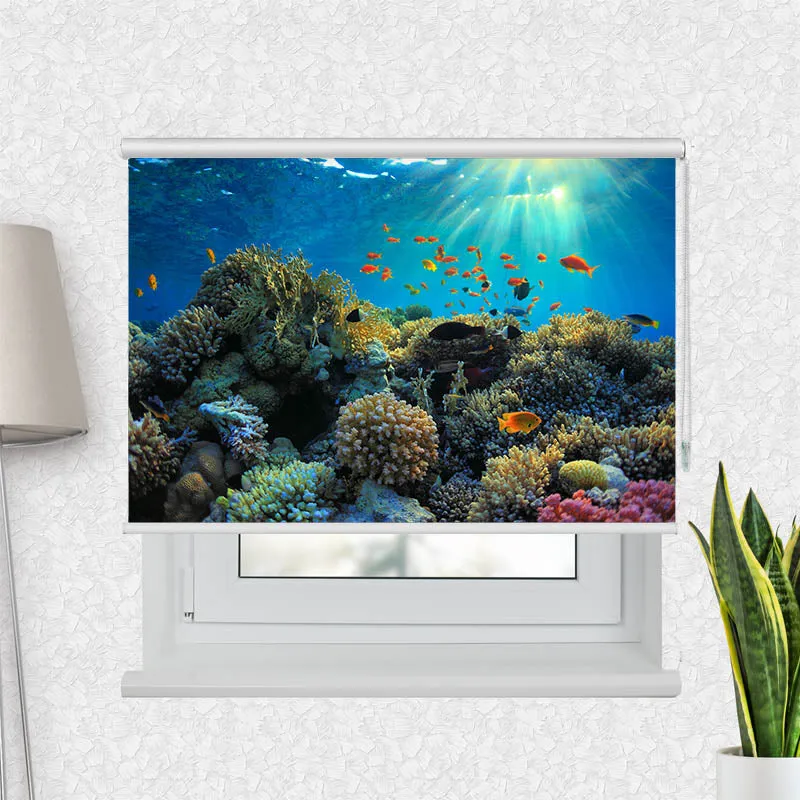 Motivrollo 'Fische im Ozean' | Bis B 430 x H 440 cm
