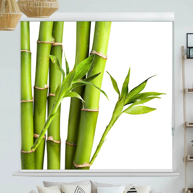 Kassettenrollo Motiv "Bambus" | bis B 420 x H 420 cm