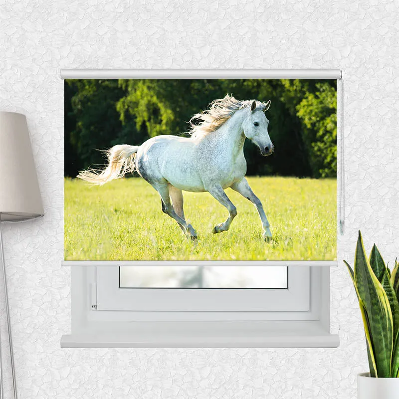 Motivrollo 'Weisses Pferd im Gras' | Bis B 430 x H 440 cm