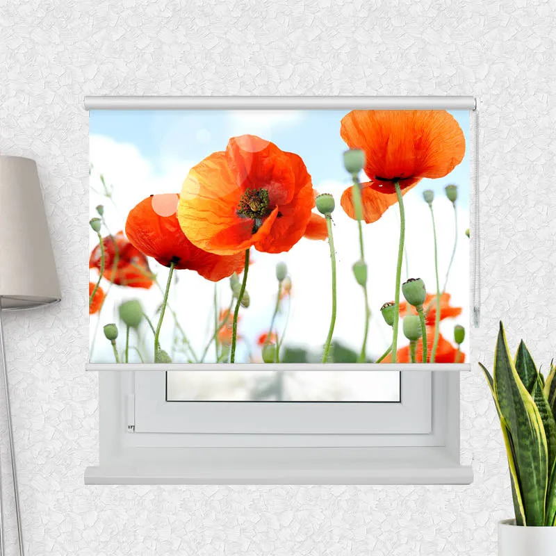 Motivrollo 'Mohnblumen Panorama' | Bis B 430 x H 440 cm