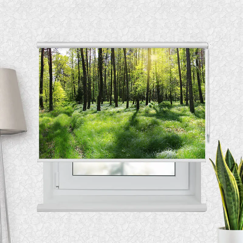 Motivrollo 'Wald Panorama' | Bis B 430 x H 440 cm