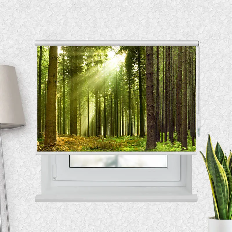 Motivrollo 'Sonnenstrahlen im Wald Panorama' | Bis B 430 x H 440 cm