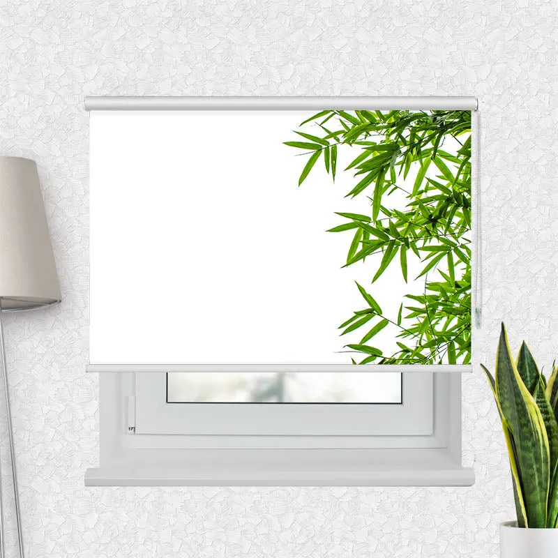 Motivrollo 'Bambusblaetter Freigestellt' | Bis B 430 x H 440 cm
