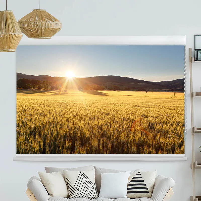 Kassettenrollo Motiv "Kornfeld" | bis B 420 x H 420 cm