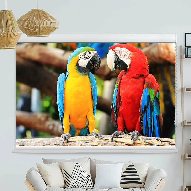 Kassettenrollo Motiv "Papageien" | bis B 420 x H 420 cm