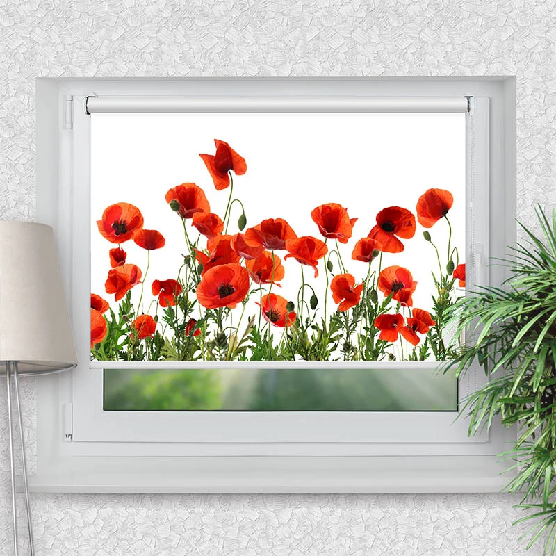 Klemmfix Rollo "Mohnblumen Weisser Hintergrund" | Motiv-Klemmrollo