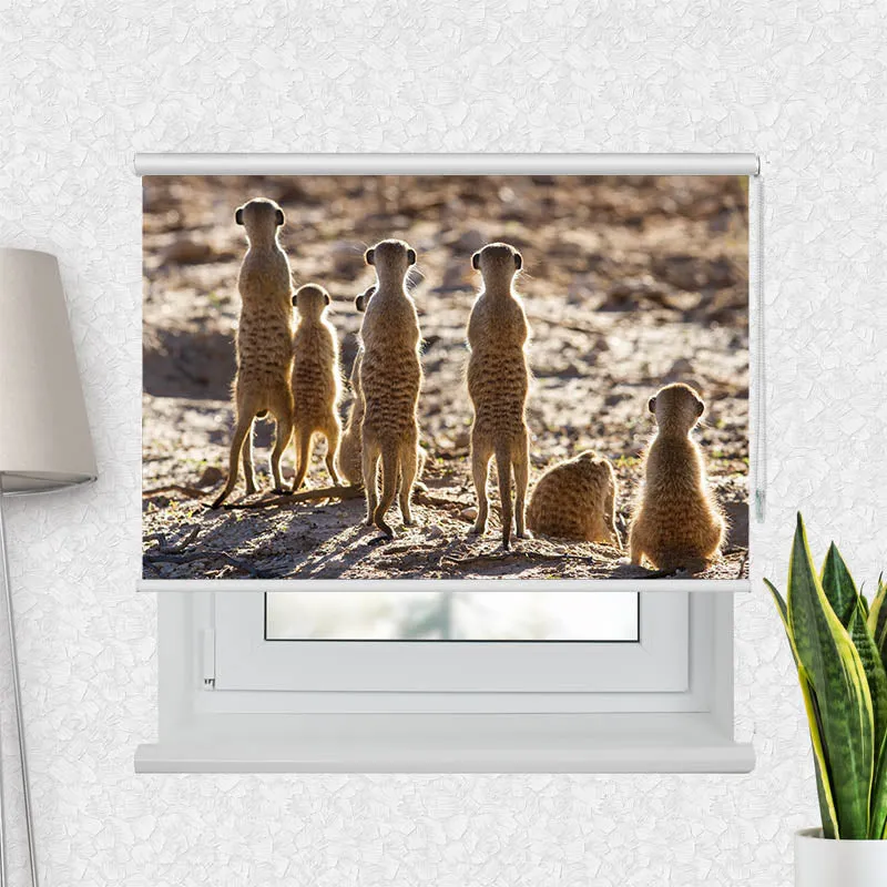 Motivrollo 'Erdmaennchen' | Bis B 430 x H 440 cm