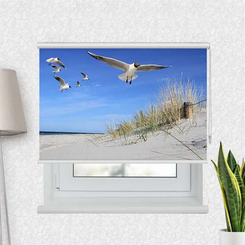 Motivrollo 'Moewen am Strand' | Bis B 430 x H 440 cm