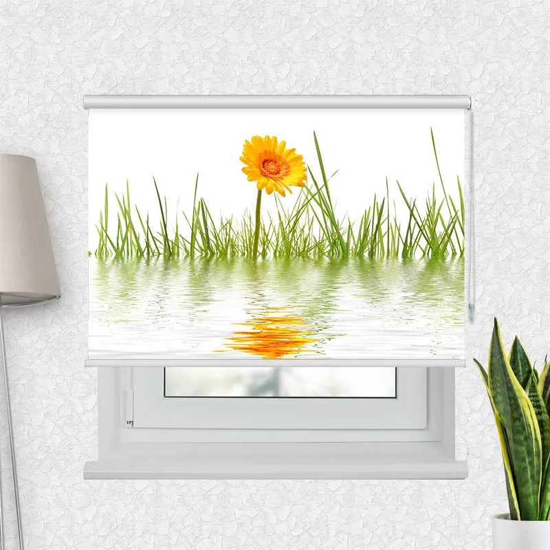 Motivrollo 'Gras im Wasser' | Bis B 430 x H 440 cm