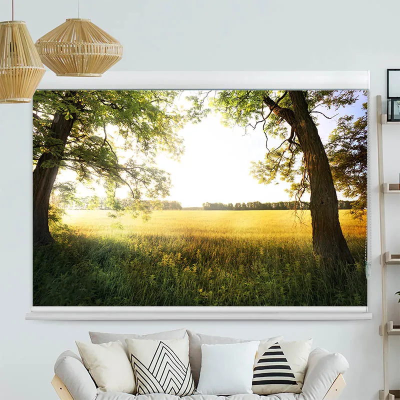 Kassettenrollo Motiv "Feld mit Sonnenlicht" | bis B 420 x H 420 cm