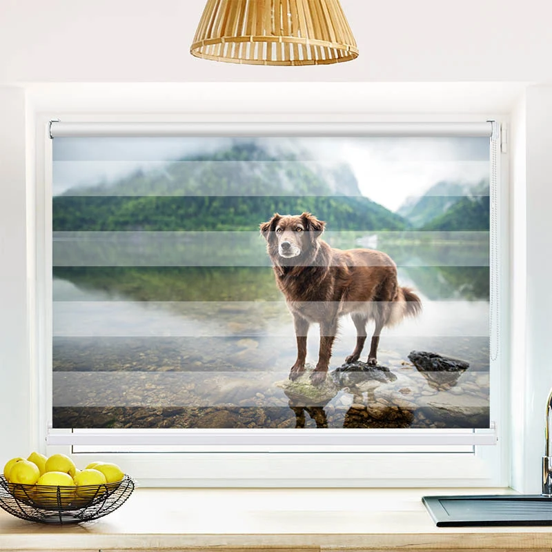 Klemmfix Doppelrollo "Hund am Bergsee" | Klemm Doppelrollo