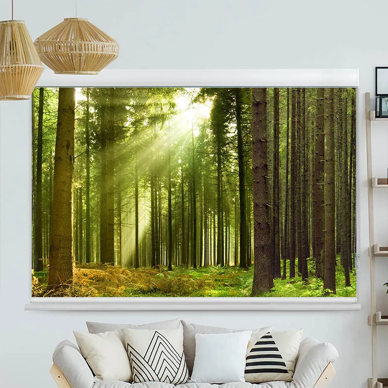 Kassettenrollo Motiv "Sonnenstrahlen im Wald Panorama" | bis B 420 x H 420 cm