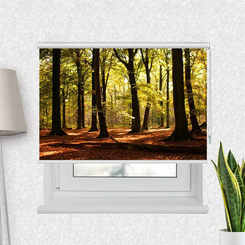 Motivrollo 'Wald Sonnenstrahlen' | Bis B 430 x H 440 cm