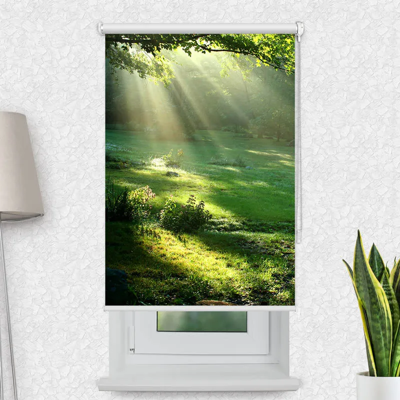 Motivrollo 'Lichtung im Wald' | Bis B 430 x H 440 cm