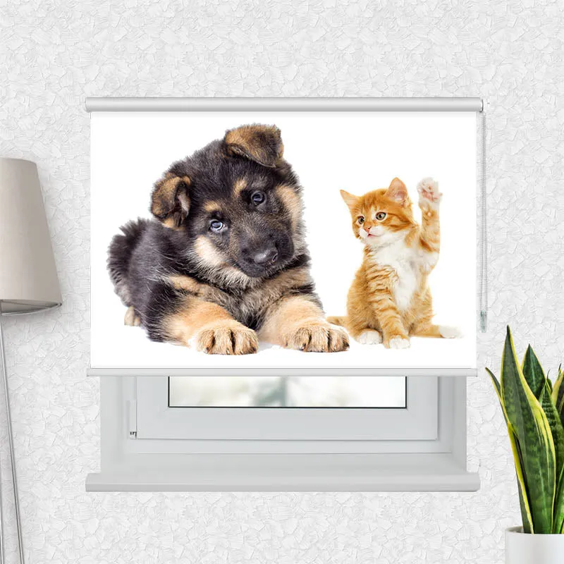 Motivrollo 'Welpe und Kitten' | Bis B 430 x H 440 cm