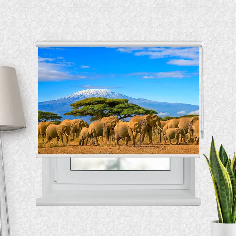 Motivrollo 'Elefanten am Kilimandscharo' | Bis B 430 x H 440 cm