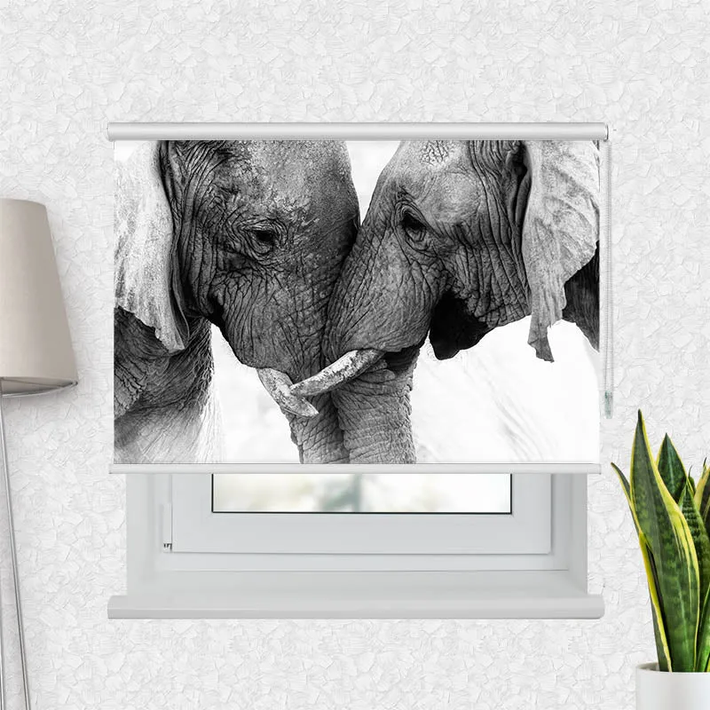 Motivrollo 'Afrika Lefanten' | Bis B 430 x H 440 cm