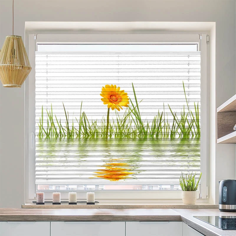 Wabenplissee Motiv "Gras im Wasser"
