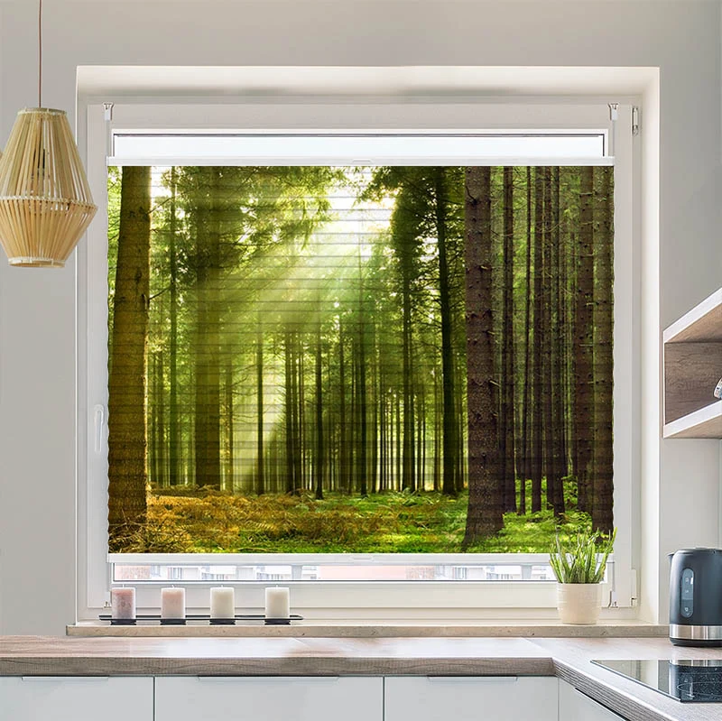 Wabenplissee Motiv "Sonnenstrahlen im Wald Panorama"