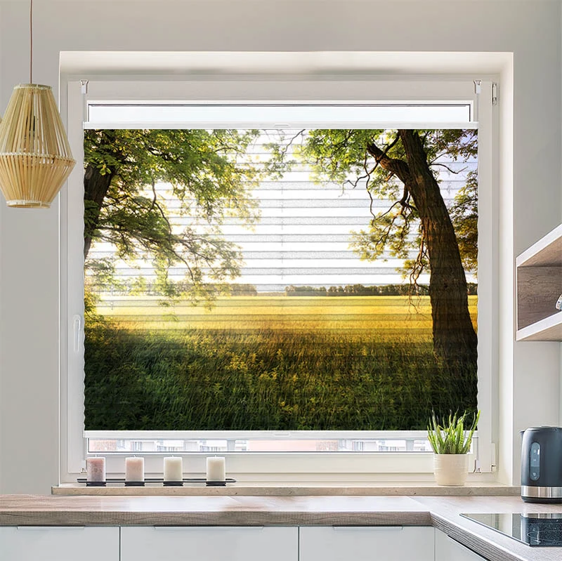 Wabenplissee Motiv "Feld mit Sonnenlicht"